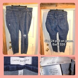 Lane Bryant Women's Distressed Blue Jeggings
